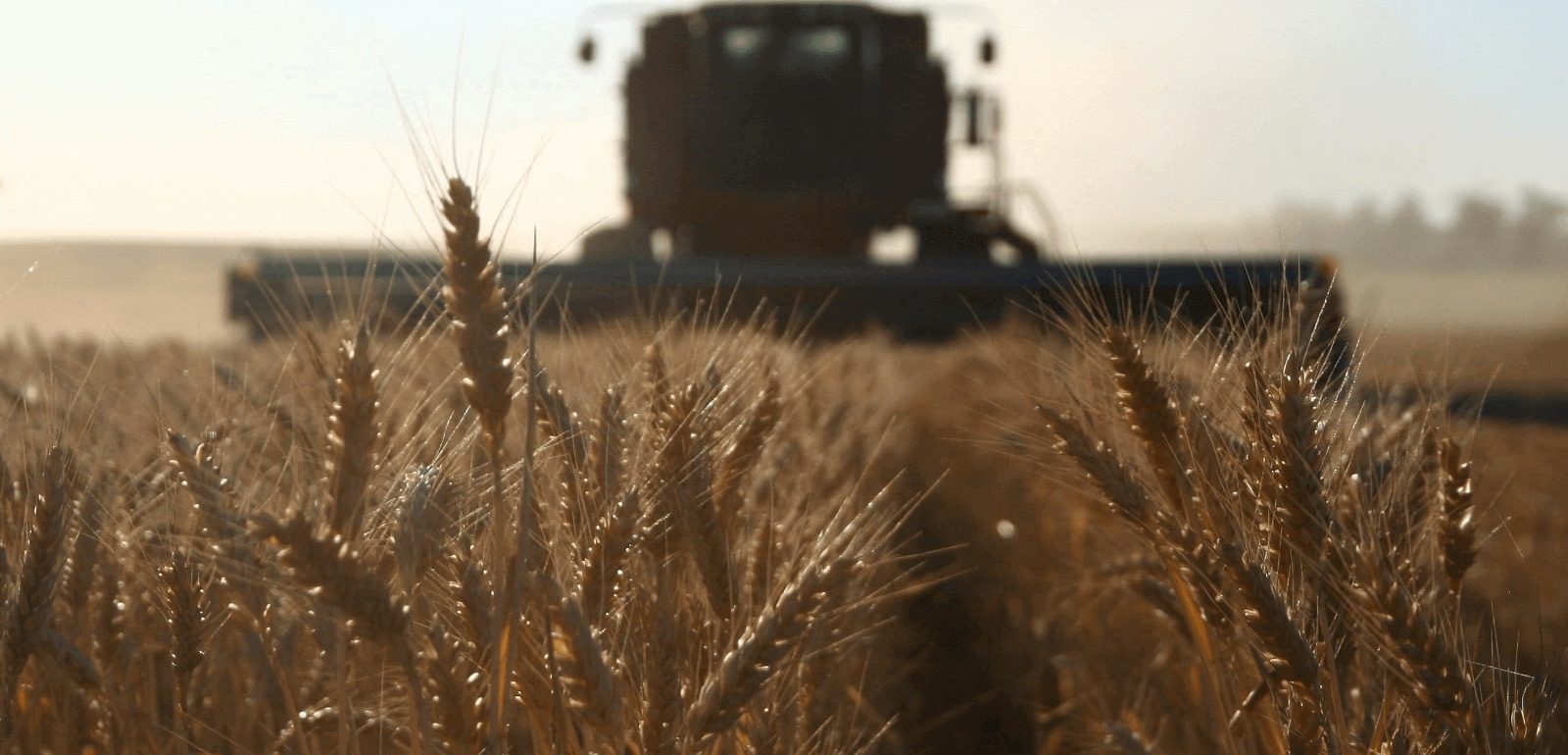 aposentadoria-rural-carbonera-tomazini